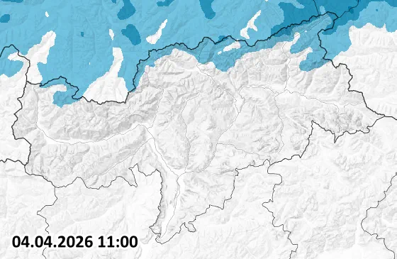 Precipitation Forecast